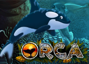 Orca